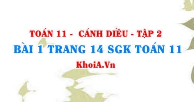 Bài 1 trang 14 Toán 11 tập 2 Cánh Diều